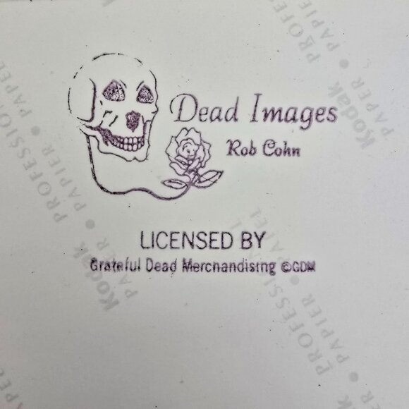 Phil Lesh Licensed Photo Print By Dead Images Rob Cohn Of Grateful Dead Musician - Picture 2 of 16